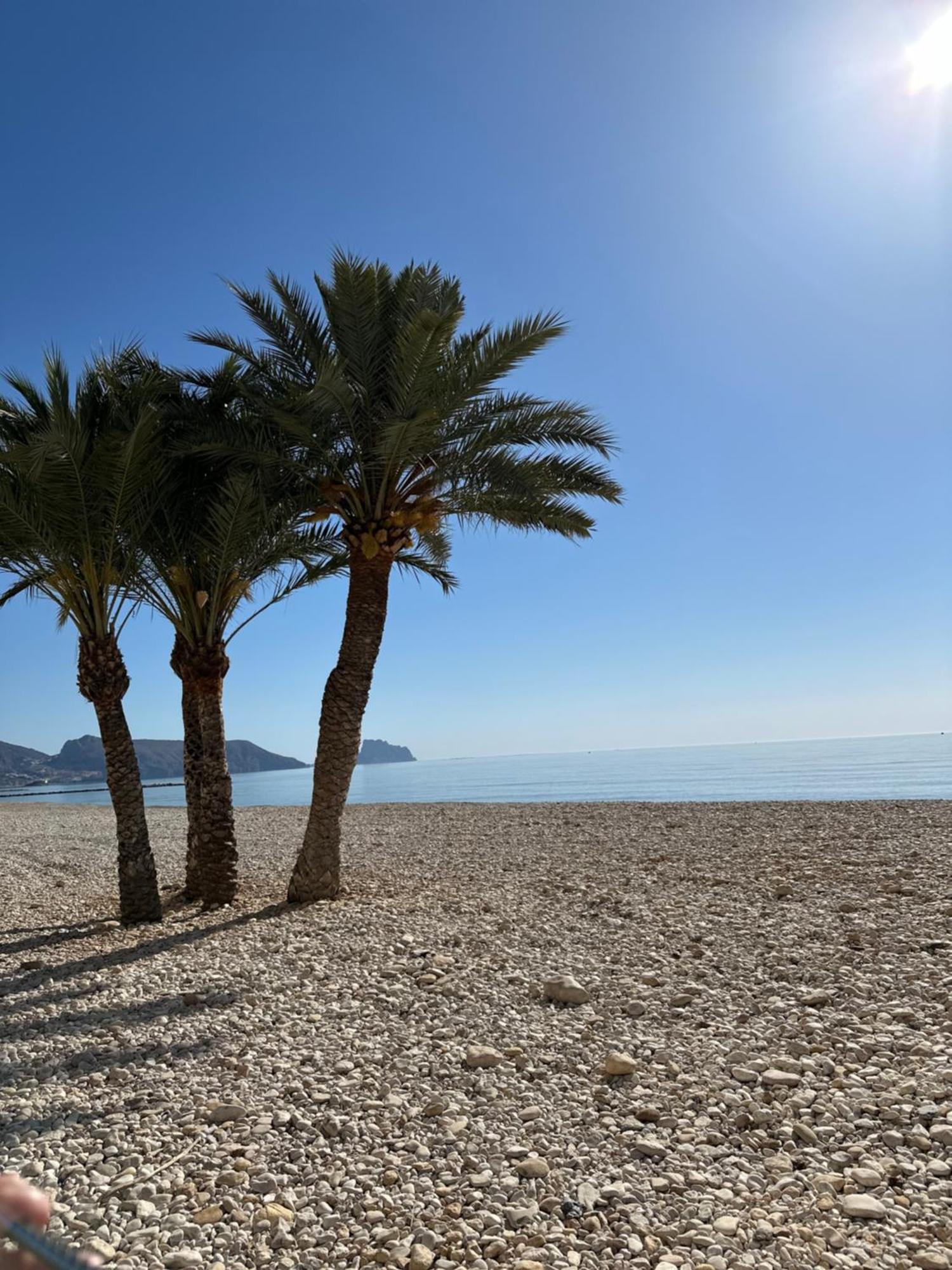 Precioso Apartamento De 3 Dormitorios Con Acceso Directo A La Playa Альтеа Экстерьер фото